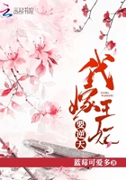 《代嫁王妃要逆天》