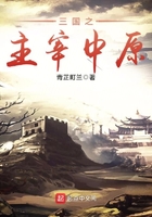 《三国之主宰中原》