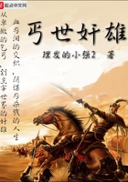 《丐世奸雄》