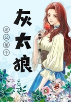 《老公是个灰太狼》