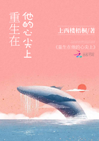 《重生在他的心尖上》