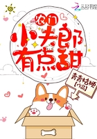 《农门小夫郎有点甜》