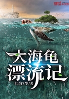 《大海龟漂流记》