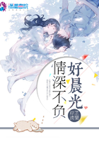 《情深不负好晨光》