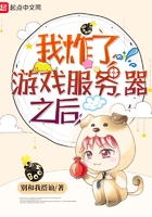 《我炸了游戏服务器之后》