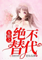 《无限之绝不替代》
