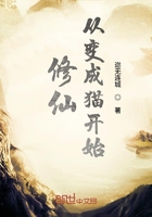 《修仙从变成猫开始》