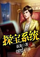 《探宝系统》