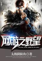 《网游之野望》