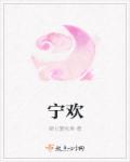 《宁欢》