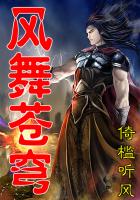《风舞苍穹》