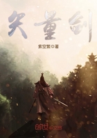 《矢量剑》