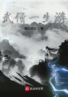 《武僧一生游》