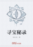 《寻宝秘录》