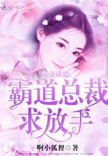 《宠妻成瘾：霸道总裁求放手》