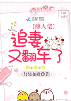 《傅大佬追妻又翻车了》