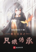 《重生日本之只狼传承》