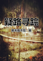 《疑路寻踪》