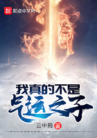 《我真的不是气运之子》