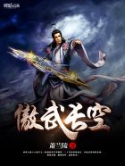 《傲武长空》