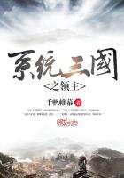 《系统三国之领主》