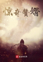 《惊奇赘婿》