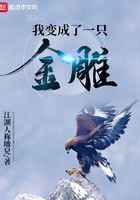 《我变成了一只金雕》