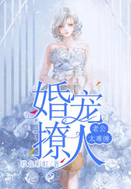 《婚宠撩人：老公太难缠》
