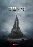 《旧日只狼》
