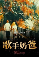 《重生之歌手奶爸》