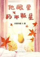 《他眼里的那颗星》