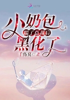 《小奶包踹了总裁后黑化了》