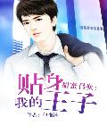 《甜蜜召唤：我的贴身王子》