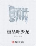 《极品叶少龙》