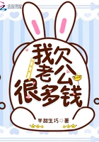 《我欠老公很多钱》