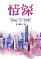《情深何以苏辛哲》