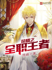 《荣耀之全职王者》