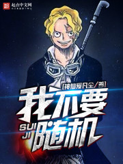 《随机从海贼开始》