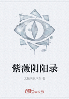 《紫薇阴阳录》