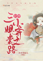 《套牌三小姐奔袭之路》