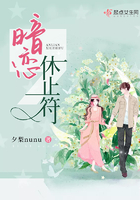 《暗恋休止符》