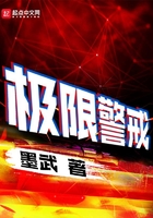 《极限警戒》