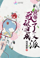 《穿越后我被迫成了反派》