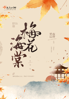 《梅花海棠》