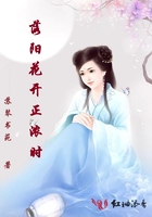 《洛阳花开正浓时》