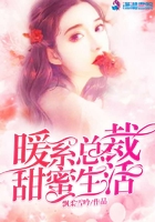 《暖系总裁甜蜜生活》