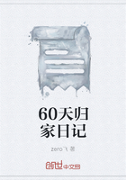 《60天归家日记》