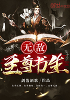 《无敌至尊书生》