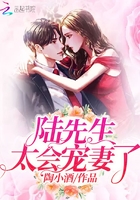 《陆先生太会宠妻了》