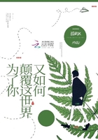 《为了你颠覆这世界又如何》